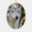 Search for white wolf christmas tree decorations Nature
