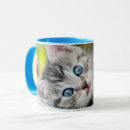 Search for baby kitten mugs Domestic animals