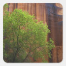 Search for buckskin stickers Nature