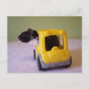Search for hamster postcards Funny