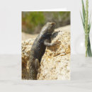 Search for backed cards Wildlife