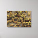 Search for pollen canvas prints Botany