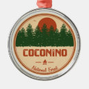 Search for sedona arizona christmas tree decorations Desert