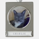 Search for pet supplies Remembrance