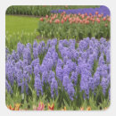 Search for landscape design stickers Park