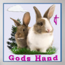 Search for love bunnies posters Funny