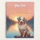 Search for aussie office supplies Pets