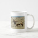 Search for big bull mugs Hunting