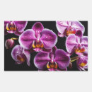 Search for orchid flower stickers Colourful