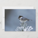 Search for winter frost cards Bird