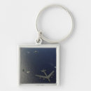 Search for b flight key rings Flying