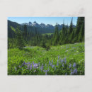 Search for range postcards Landscape