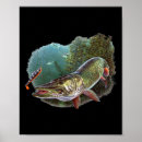 Search for lures posters Bait