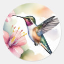 Search for watercolor hummingbird stickers Floral