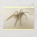 Search for visitor postcards Nature