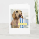 Search for ribs cards Cute