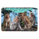 Search for commandant magnets Jesus