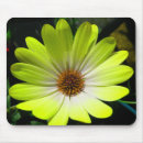 Search for fluorescence mousepads Fluorescent