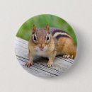 Search for rodents badges Animal