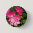 Search for geranium badges Flowers