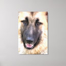 Search for german shepherd canvas prints Alsatian