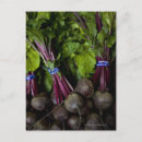 Search for produced postcards Freshness