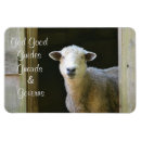 Search for gods magnets Spiritual