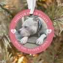 Search for photo pet memorial ornaments Sympathy