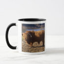 Search for scottish highlands mugs Europe