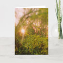 Search for sunlit cards Nature