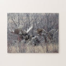 Search for moose puzzles Hunting