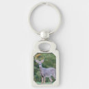 Search for deer key rings Trees