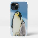 Search for wild bird iphone cases Snow hill island
