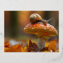 Search for snail postcards Mushroom
