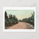 Search for lantern press postcards Collection