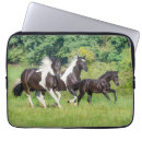 Search for running laptop cases Horse