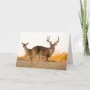 Search for dittos cards Antlers