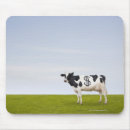 Search for finance mousepads Business