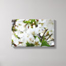 Search for white cherry blossom tree posters Elegant