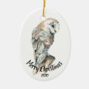 Search for barn owl christmas tree decorations Watercolor