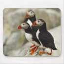 Search for new brunswick mousepads Canada