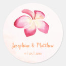 Search for pink frangipani stickers Tropical