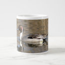 Search for marsh mugs Waterfowl