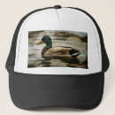 Search for black duck hats Mallard