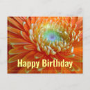 Search for gerber cards Nature