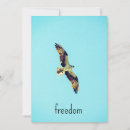 Search for osprey bird cards Nature