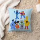 Search for big bird cushions Quote