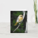Search for oriole cards Yellow