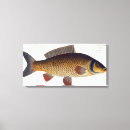 Search for ichthyology art Kruger