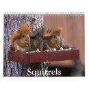 Search for tail office supplies Squirrel